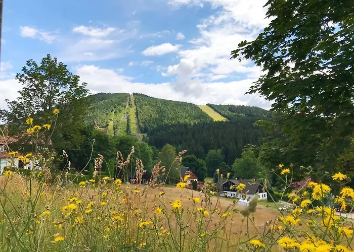 Appartement Compact Mountain Base By Interhome Harrachov